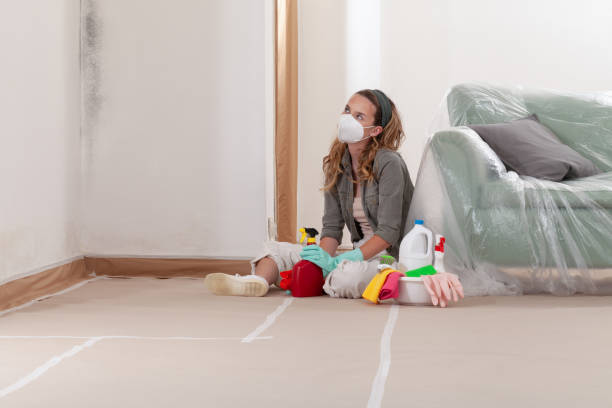 Reliable Crawl Space Mold Removal contractor in Red Feather Lakes, CO by WQB Mold Removal